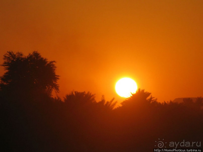 Небоскребы, небоскребы, да из глины кирпичи