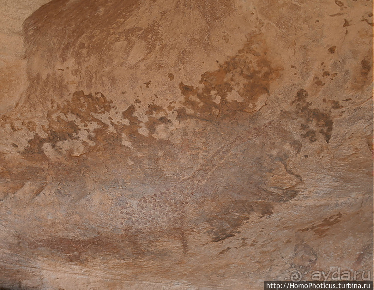 Мавританские пески. II. От барханов к океану