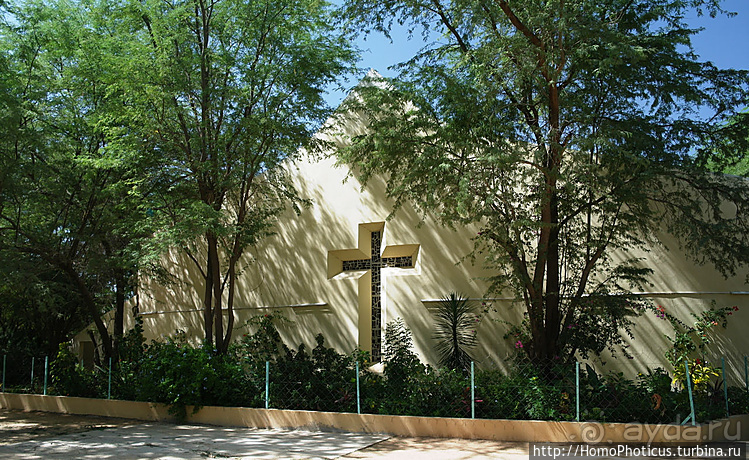 Мавританские пески. II. От барханов к океану