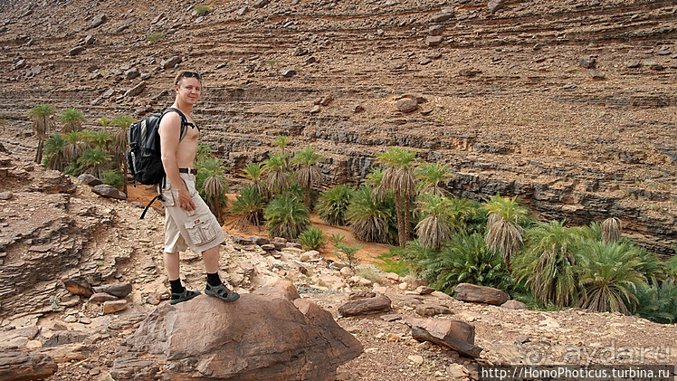 Мавританские пески. II. От барханов к океану