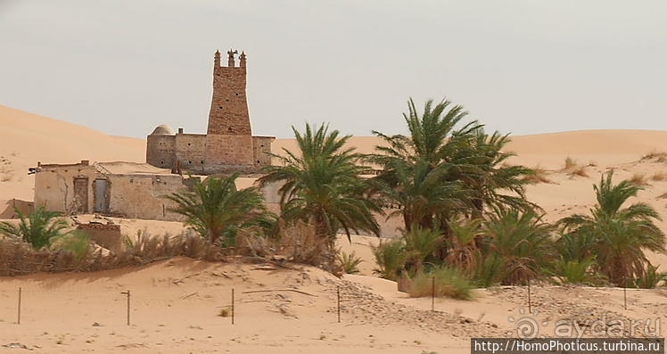 Мавританские пески. II. От барханов к океану