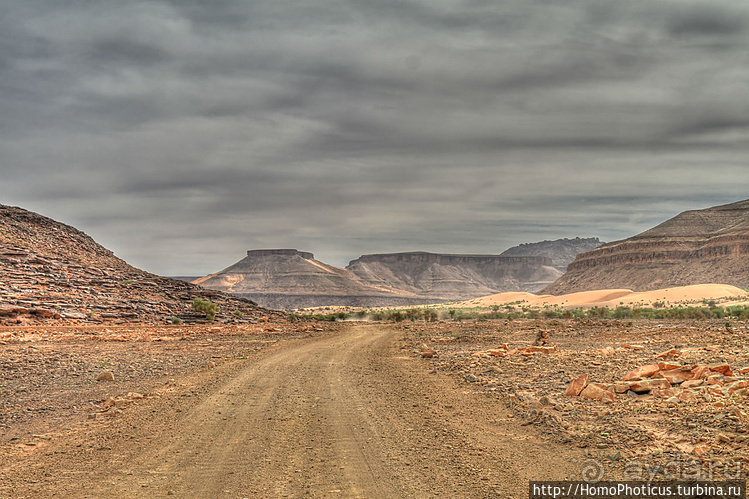 Мавританские пески. II. От барханов к океану