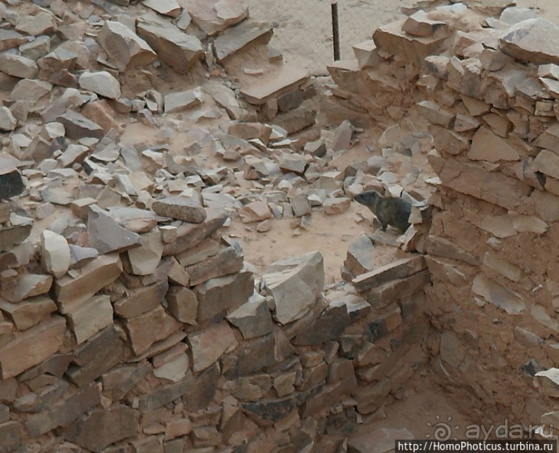 Мавританские пески. II. От барханов к океану