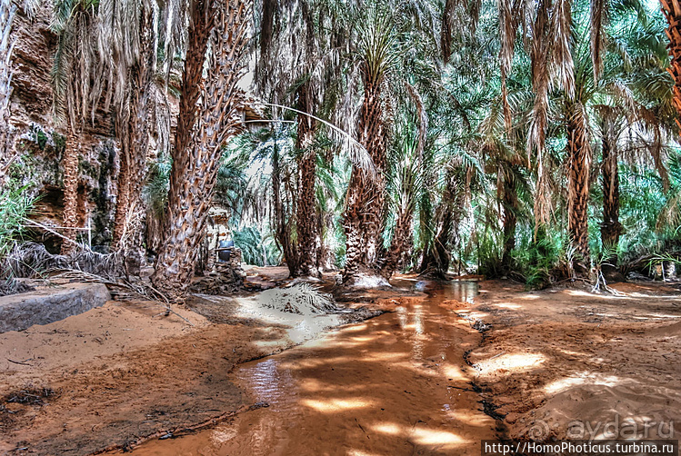 Мавританские пески. II. От барханов к океану