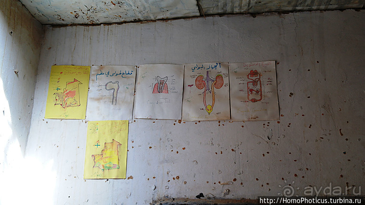 Мавританские пески. II. От барханов к океану