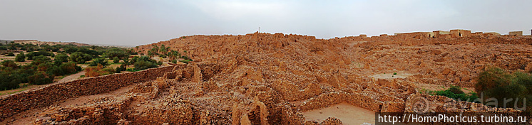 Мавританские пески. II. От барханов к океану