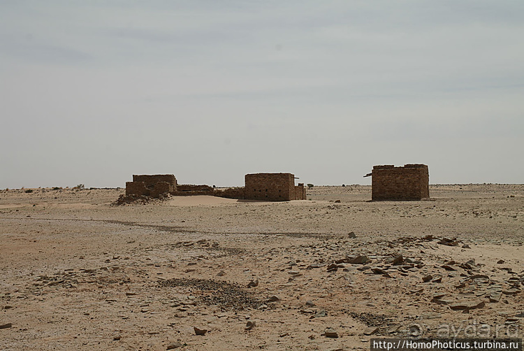 Мавританские пески. II. От барханов к океану