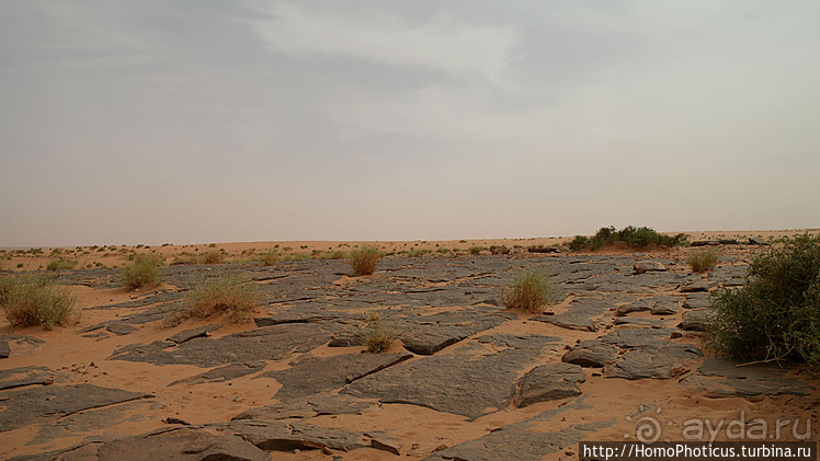 Мавританские пески. II. От барханов к океану