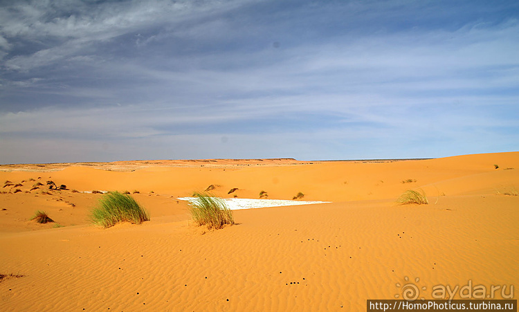 Мавританские пески. II. От барханов к океану