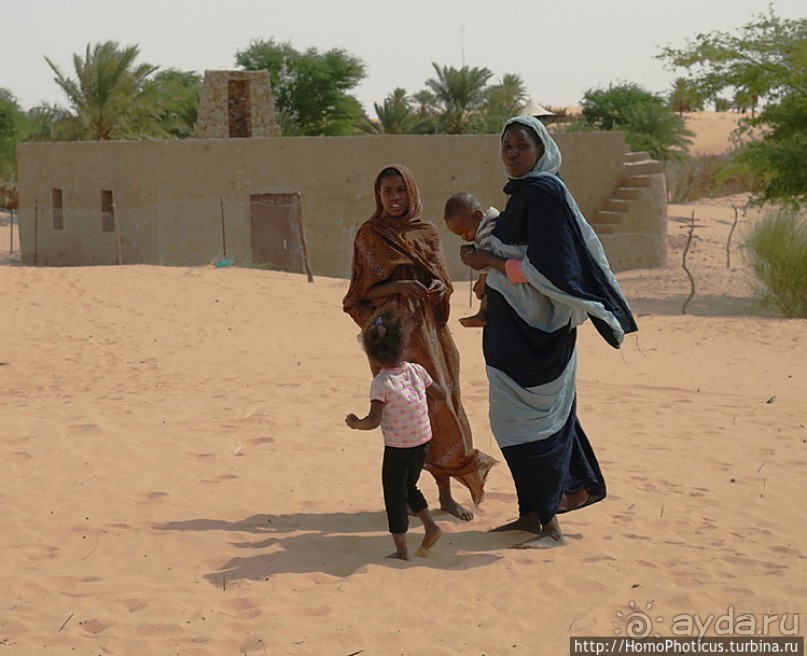Мавританские пески. II. От барханов к океану