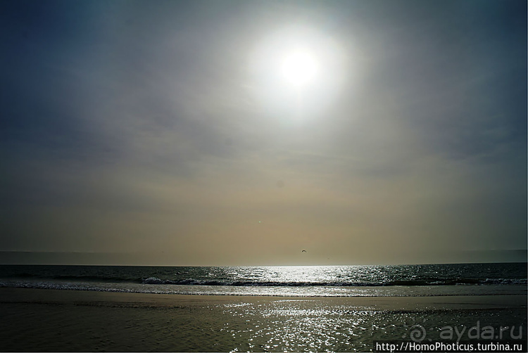 Мавританские пески. II. От барханов к океану