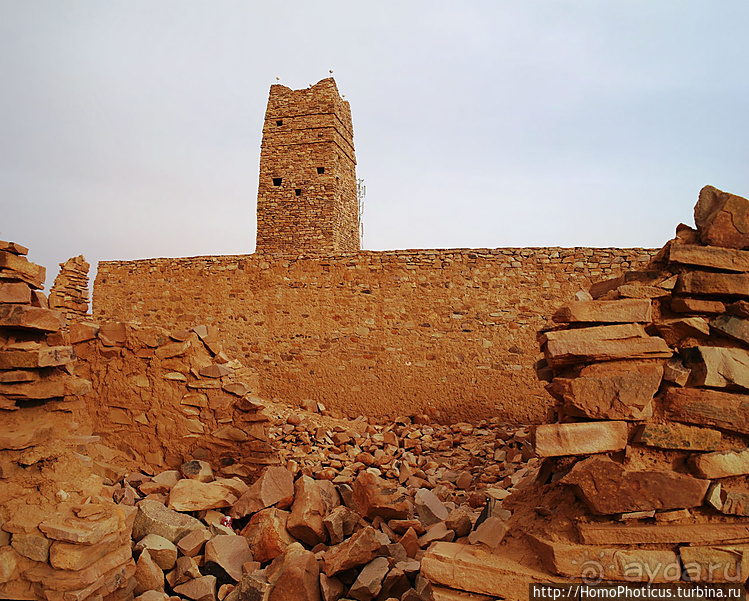 Мавританские пески. II. От барханов к океану
