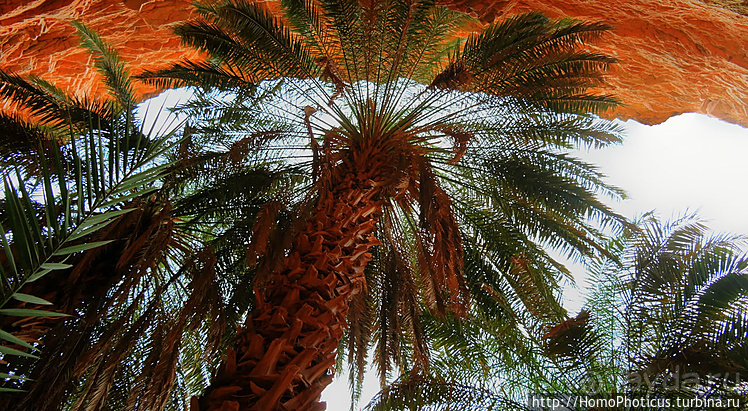 Мавританские пески. II. От барханов к океану