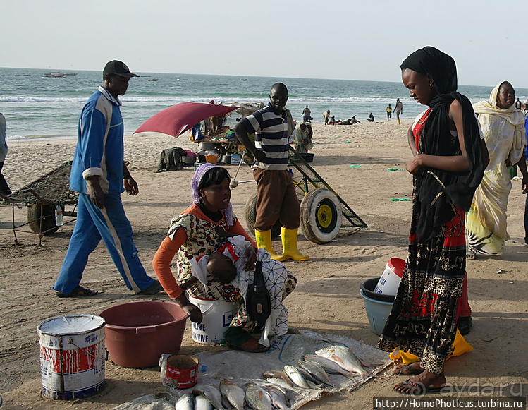 Мавританские пески. II. От барханов к океану