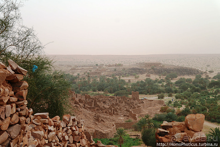 Мавританские пески. II. От барханов к океану