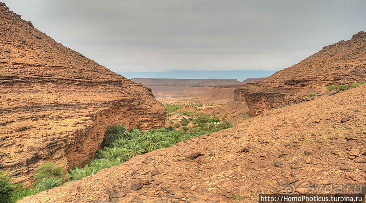 Мавританские пески. II. От барханов к океану
