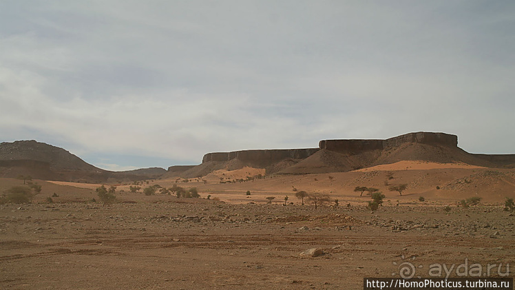 Мавританские пески. II. От барханов к океану