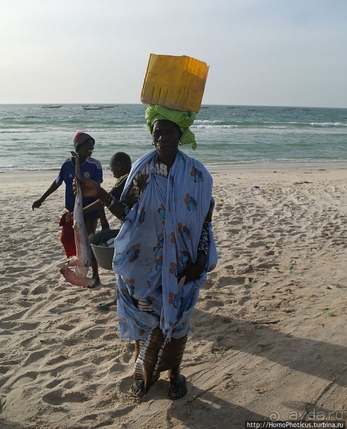 Мавританские пески. II. От барханов к океану