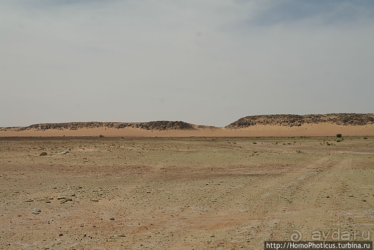 Мавританские пески. II. От барханов к океану