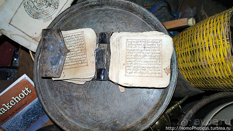 Мавританские пески. II. От барханов к океану