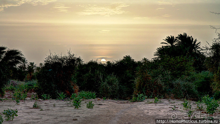 Мавританские пески. II. От барханов к океану