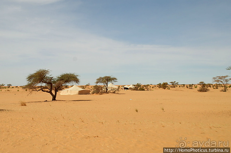 Мавританские пески. II. От барханов к океану