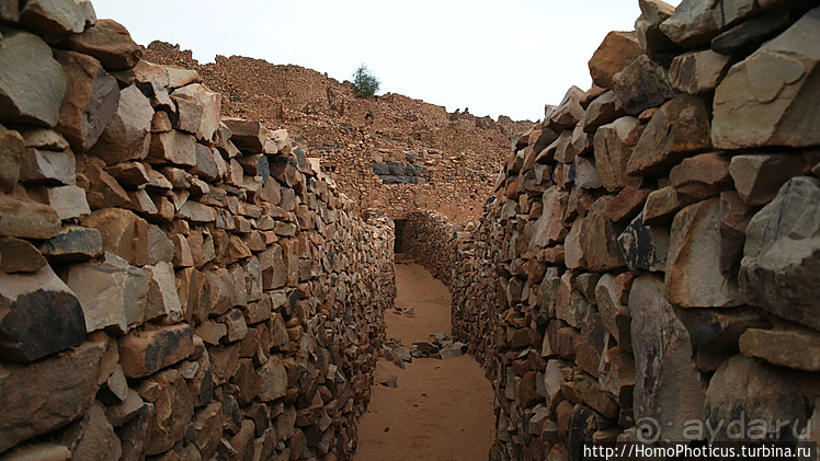 Мавританские пески. II. От барханов к океану
