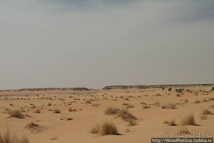 Мавританские пески. II. От барханов к океану