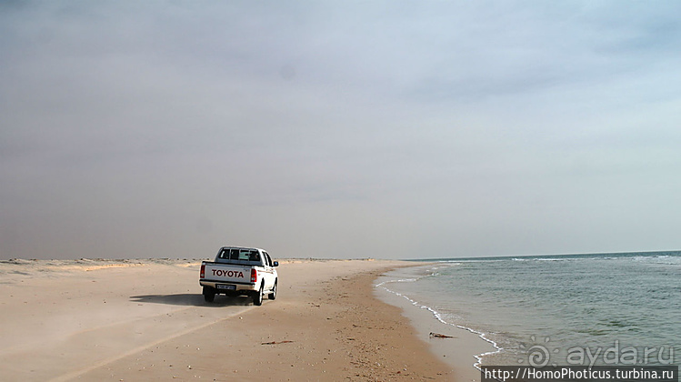 Мавританские пески. II. От барханов к океану