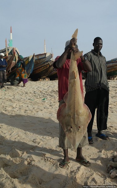 Мавританские пески. II. От барханов к океану