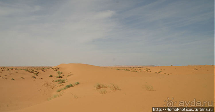Мавританские пески. II. От барханов к океану