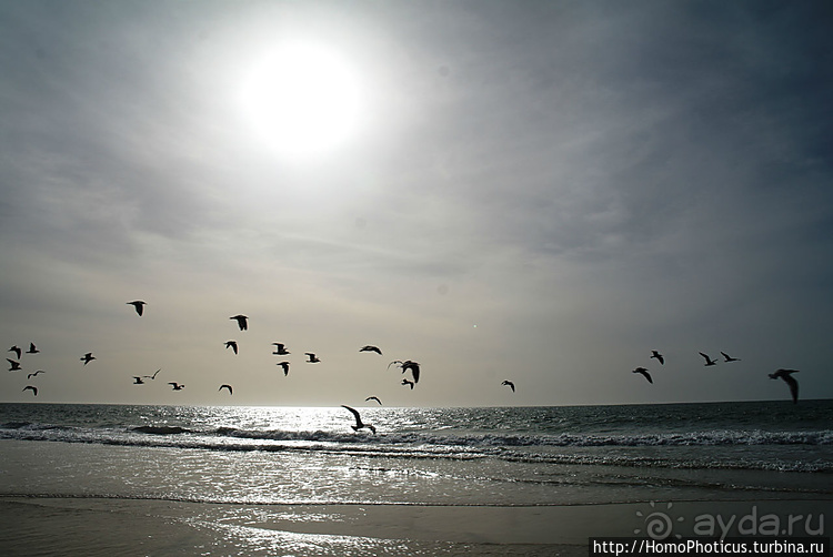 Мавританские пески. II. От барханов к океану