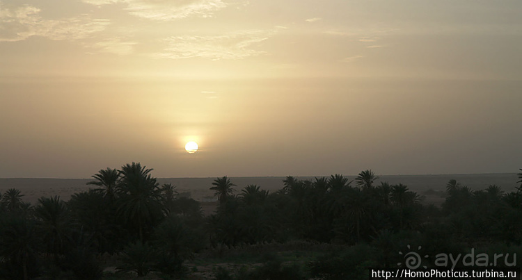 Мавританские пески. II. От барханов к океану