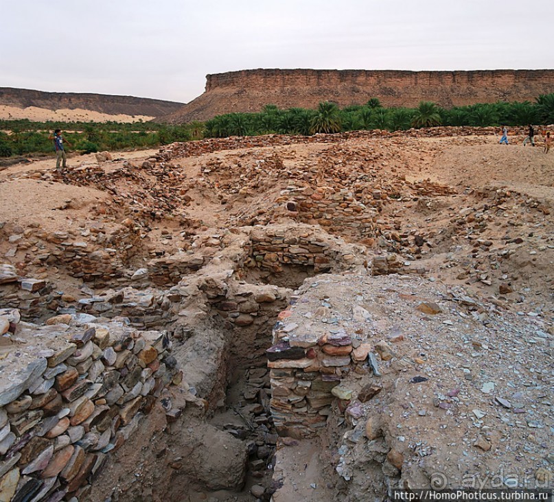 Мавританские пески. II. От барханов к океану