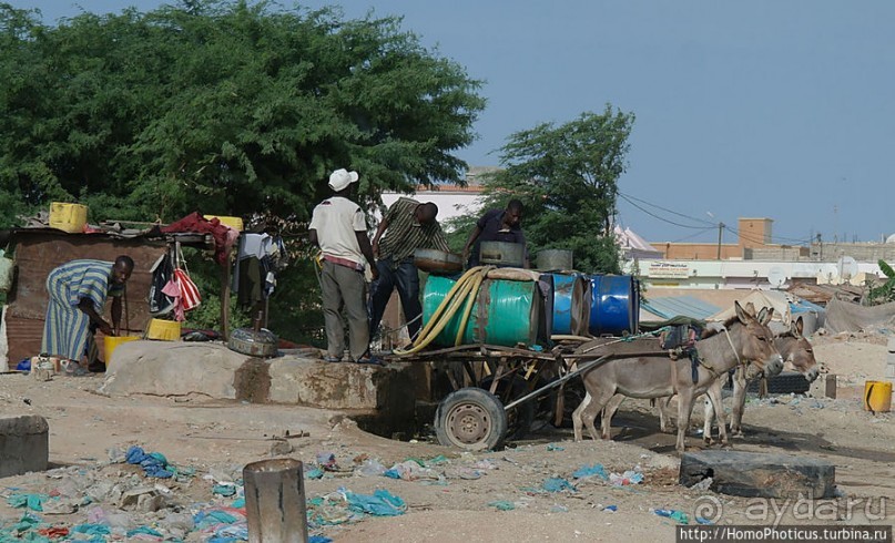 Место, где дует ветер