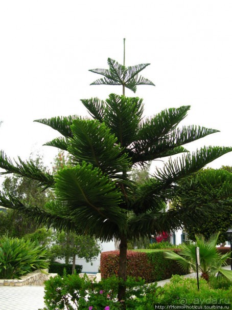 Не только пляж