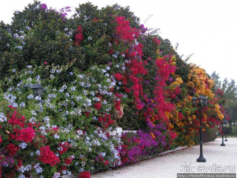 Не только пляж