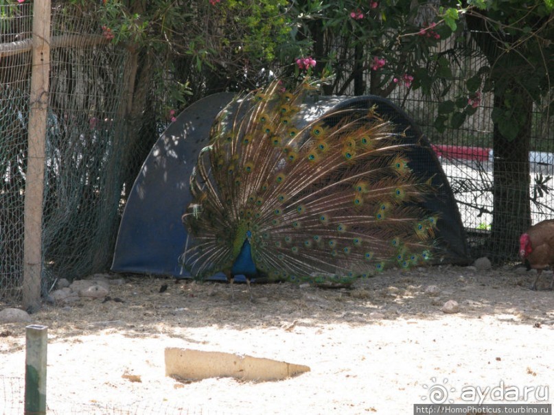 Не только пляж