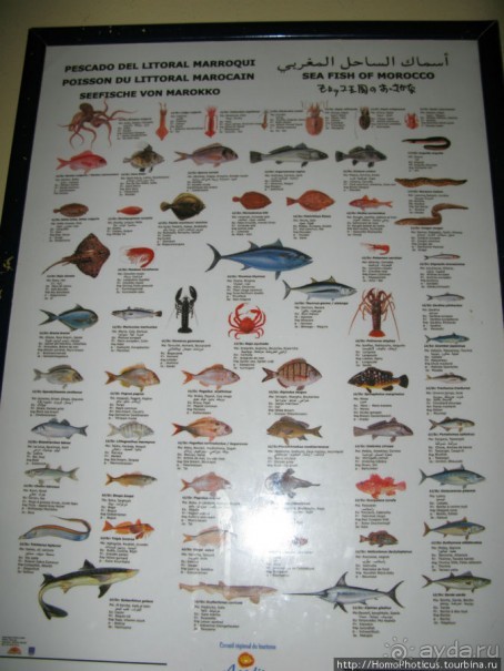 Не только пляж