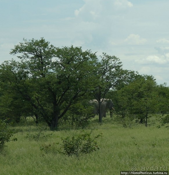 Намибийские пейзажи. Ч.5 Дамараленд