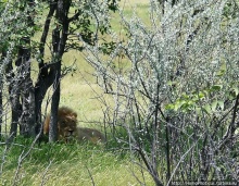 Намибийские пейзажи. Ч.5 Дамараленд