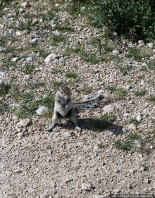 Намибийские пейзажи. Ч.5 Дамараленд