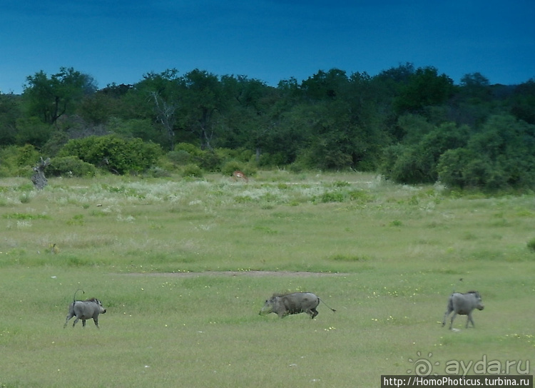 Намибийские пейзажи. Ч.5 Дамараленд