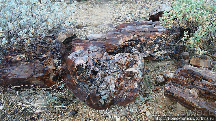 Намибийские пейзажи. Ч.5 Дамараленд