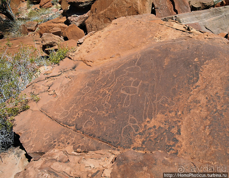 Намибийские пейзажи. Ч.5 Дамараленд