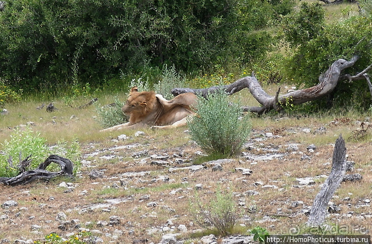 Намибийские пейзажи. Ч.5 Дамараленд