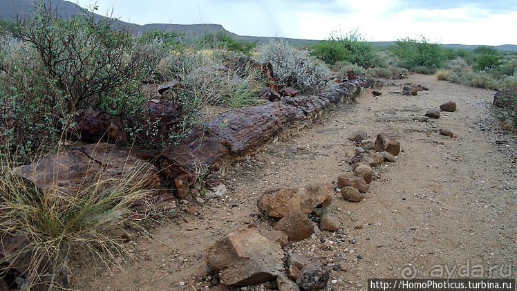 Намибийские пейзажи. Ч.5 Дамараленд