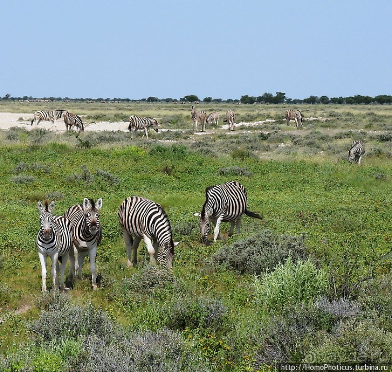 Намибийские пейзажи. Ч.5 Дамараленд