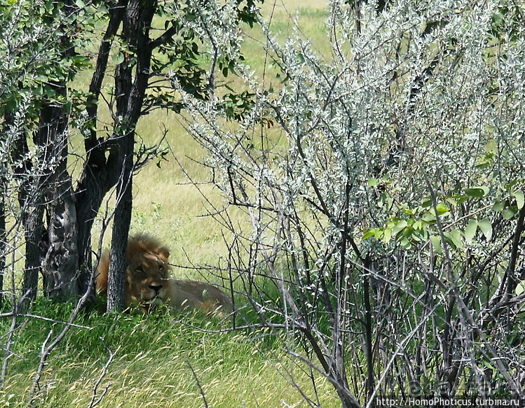 Намибийские пейзажи. Ч.5 Дамараленд