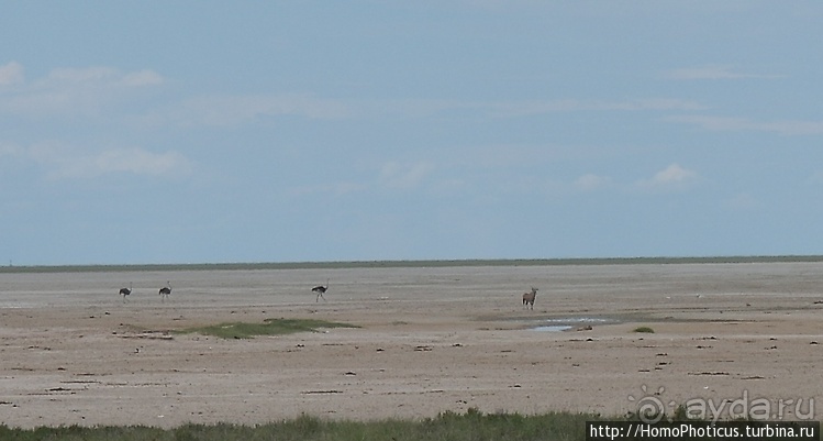 Намибийские пейзажи. Ч.5 Дамараленд